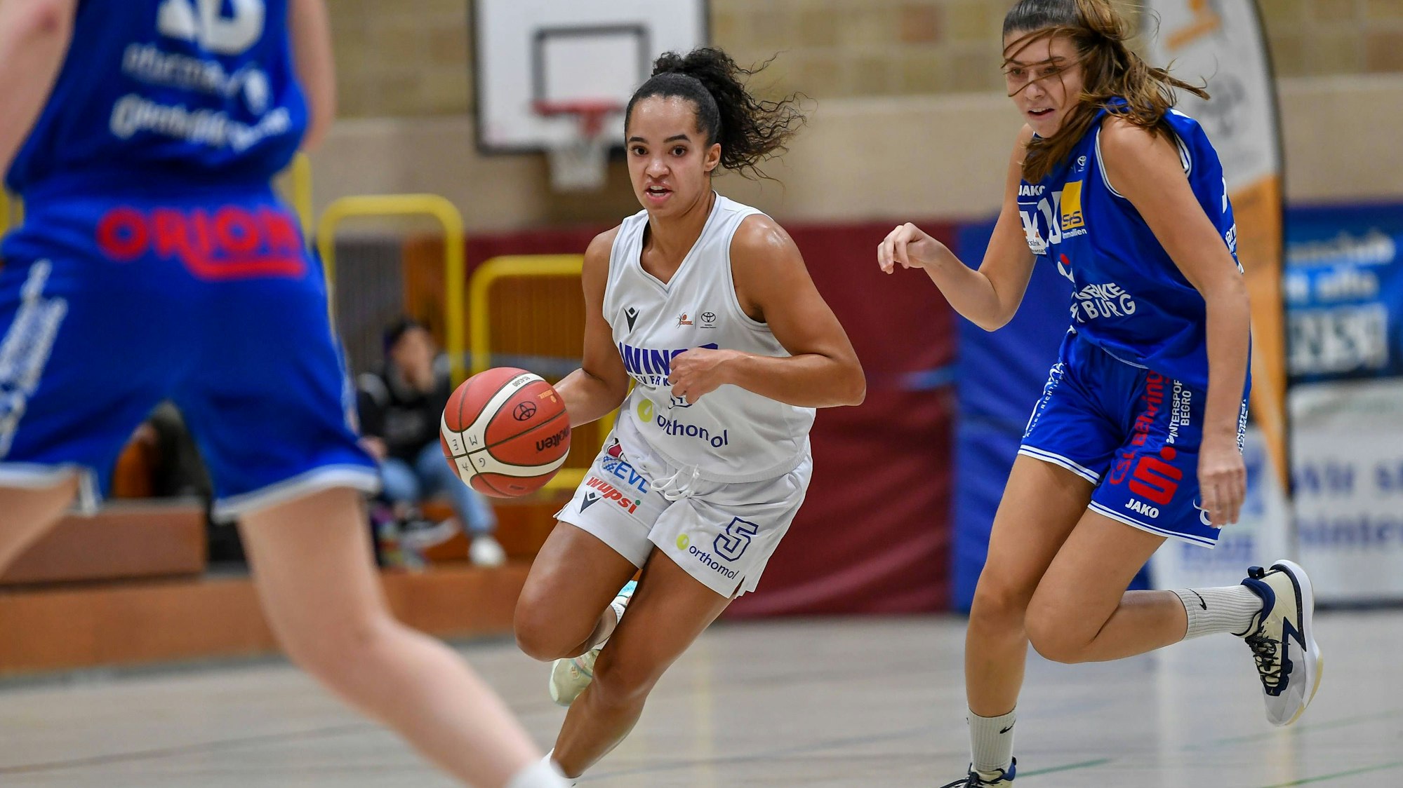 1. Damen Basketball Bundesliga: Orthomol WINGS Leverkusen vs. BC Pharmaserv Marburg, 08.10.2023 Tea Adams Orthomol WINGS Leverkusen 5, 1. Damen Basketball Bundesliga: Orthomol WINGS Leverkusen vs. BC Pharmaserv Marburg am 08.10.2023 in der Sporthalle Werner-Heisenberg-Gymnasium in Opladen Nordrhein-Westfalen *** 1 Womens Basketball Bundesliga Orthomol WINGS Leverkusen vs BC Pharmaserv Marburg, 08 10 2023 Tea Adams Orthomol WINGS Leverkusen 5 , 1 Womens Basketball Bundesliga Orthomol WINGS Leverkusen vs BC Pharmaserv Marburg on 08 10 2023 in the Werner Heisenberg Gymnasium sports hall in Opladen North Rhine Westphalia. Copyright: xBEAUTIFULxSPORTS/Mueller-Laschetx