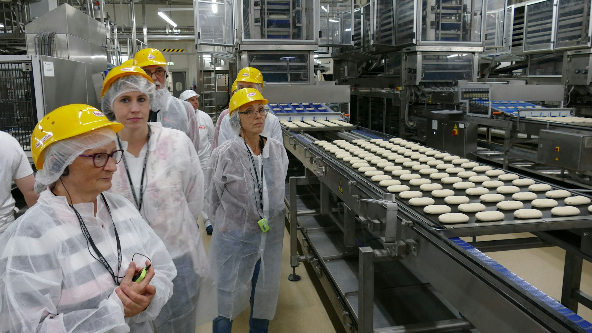 Menschen in weißen Schutzanzügen und mit gelben Helmen in einer Fabrik. Auf einem Förderband liegen helle Teigrohlinge für Brötchen.