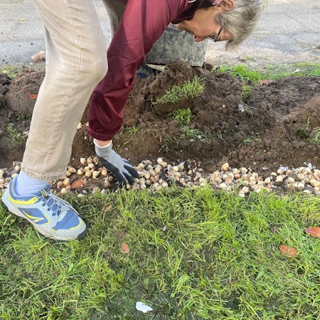 Pflanzaktion in Alkenrath