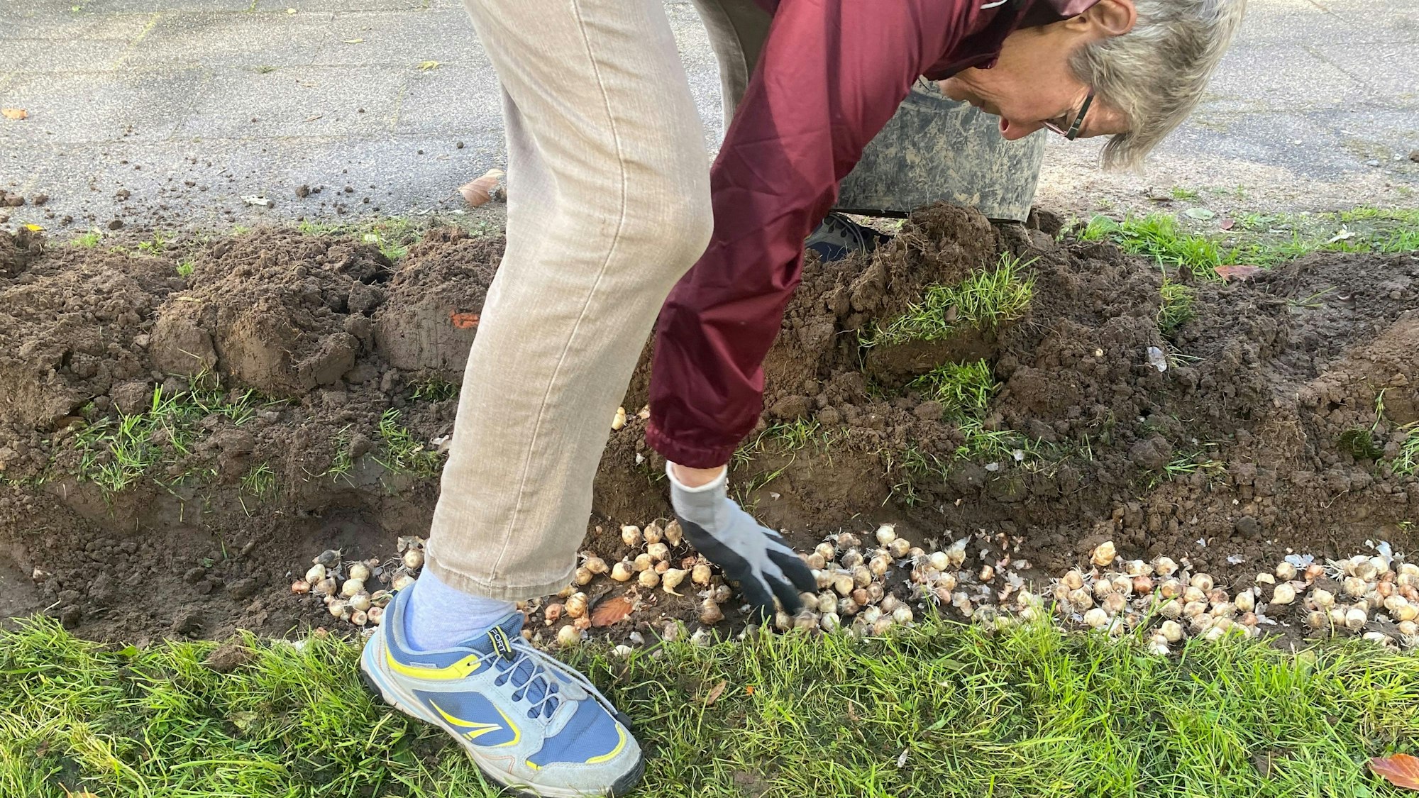 Pflanzaktion in Alkenrath