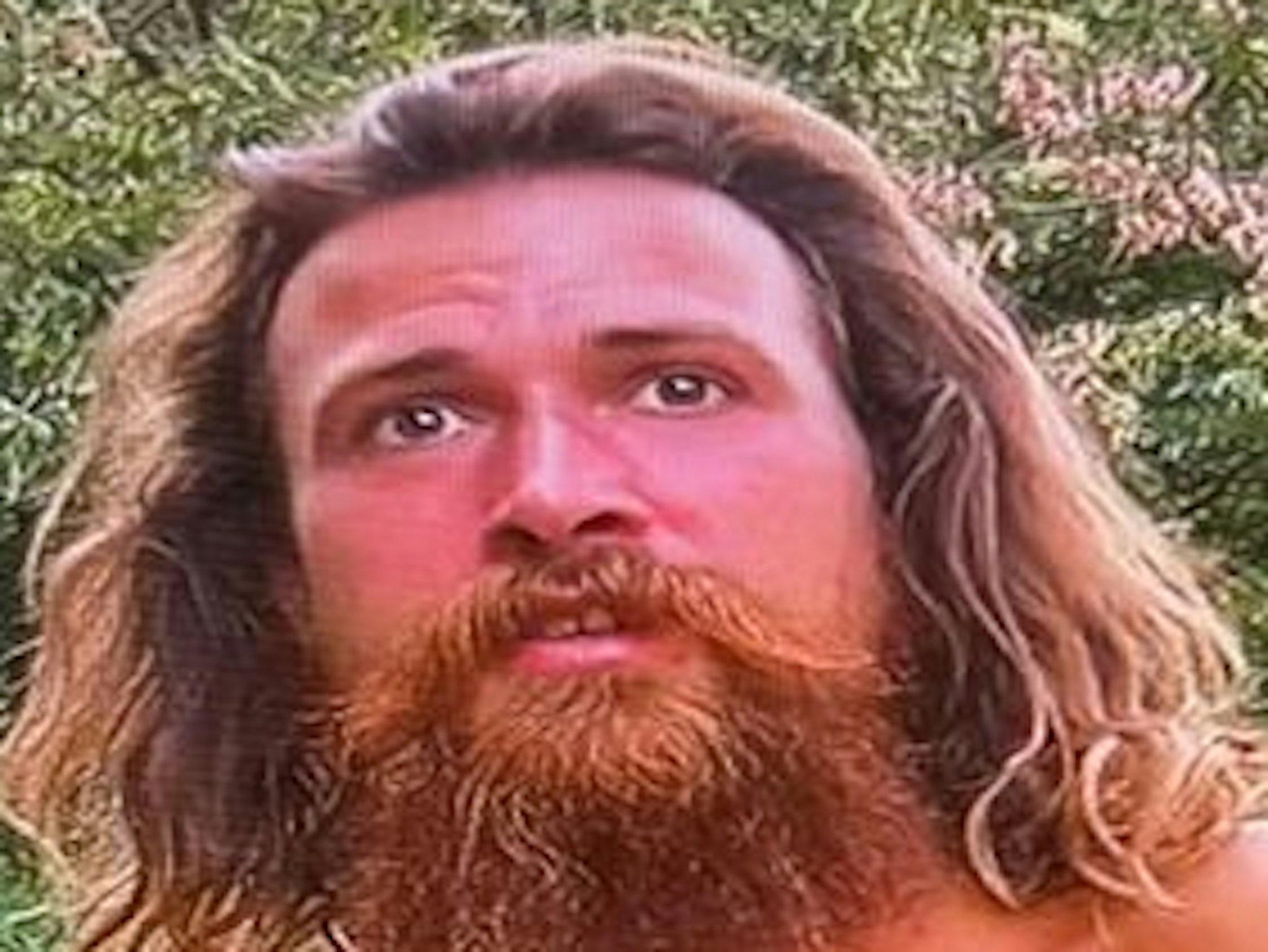 Ein Mann mit schulterlangen, braunen Haaren und Vollbart ist zu sehen, im Hintergrund sind Bäume.