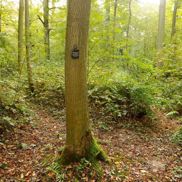 16.10,2023, Dormagen. Friedwald Dormagen.Foto:Dirk Borm
