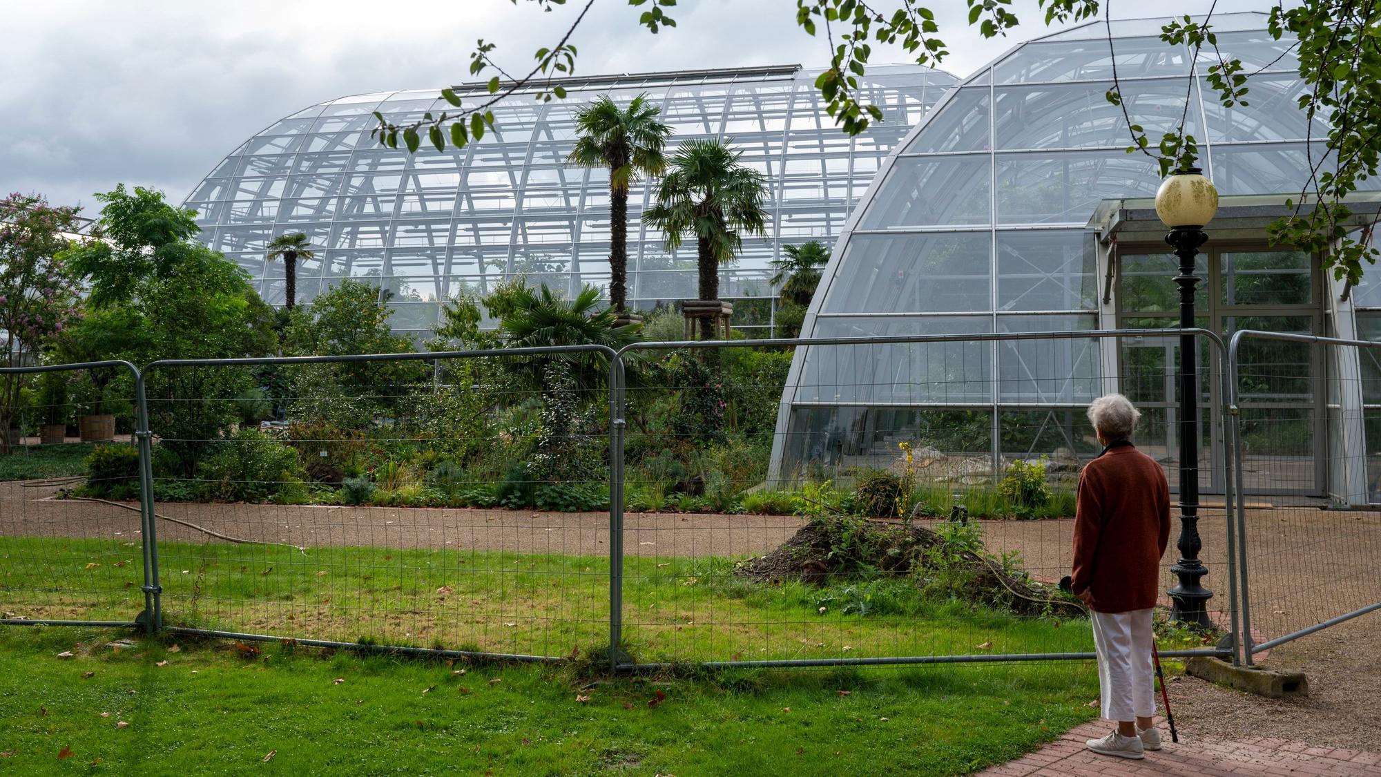 Das neue Schaugewächshaus im Botanischen Garten ist noch nicht ganz fertig.