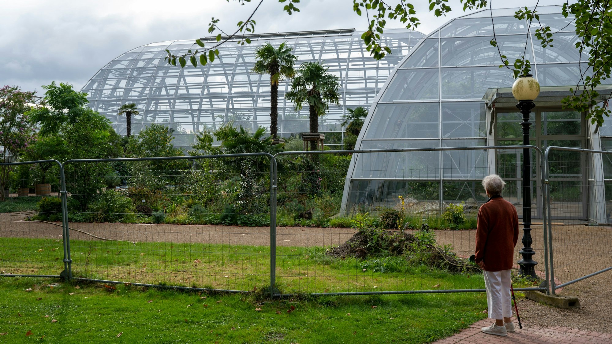 Das neue Schaugewächshaus im Botanischen Garten ist noch nicht ganz fertig.