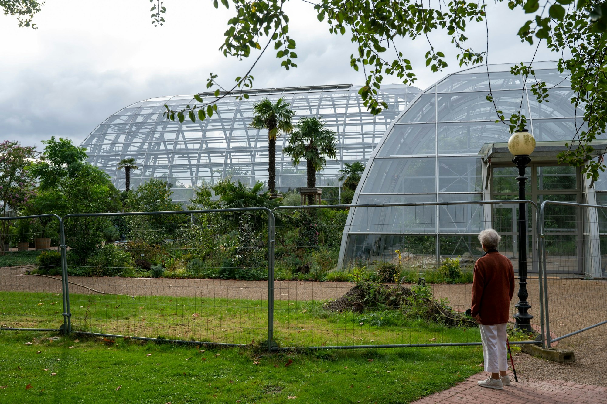 Die neuen Schaugewächshäuser im Botanischen Garten