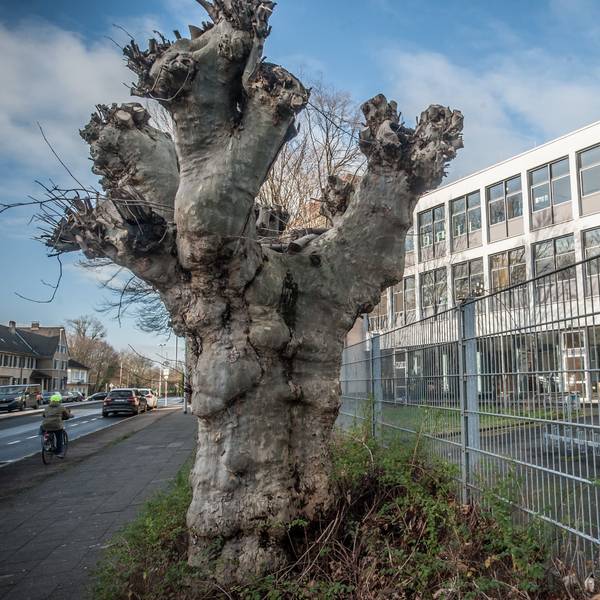 Allein 23 Millionen Euro investiert die Stadt in die Realschule am Stadtpark. (Archivfoto)