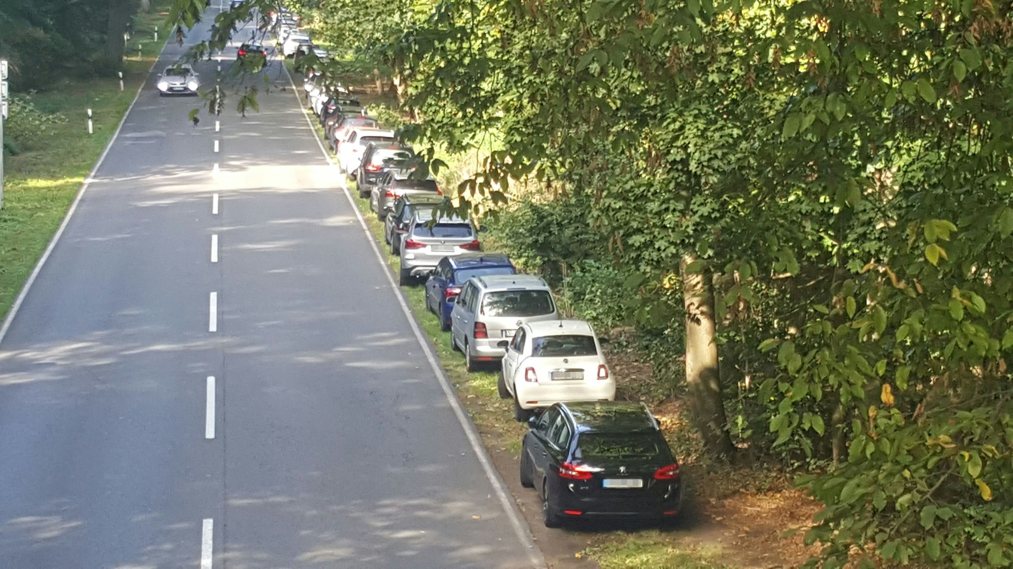 Autos stehen auf dem Grünstreifen.