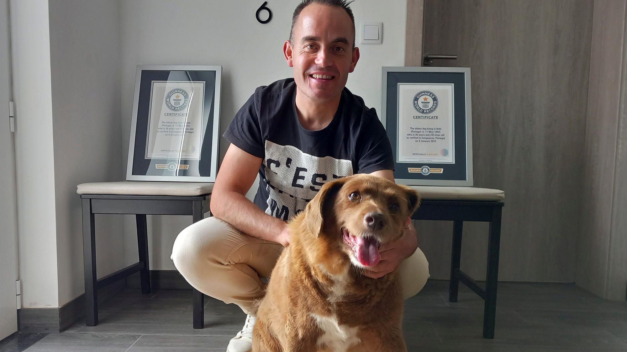 Bobi, ein Hund der portugiesischen Rasse Rafeiro do Alentejo, sitzt mit Besitzer Leonel Costa neben seinen Rekord-Urkunden. Bobi, der als ältester Hund der Welt geführt wurde, ist im Alter von 31 Jahren gestorben. (Archivbild)