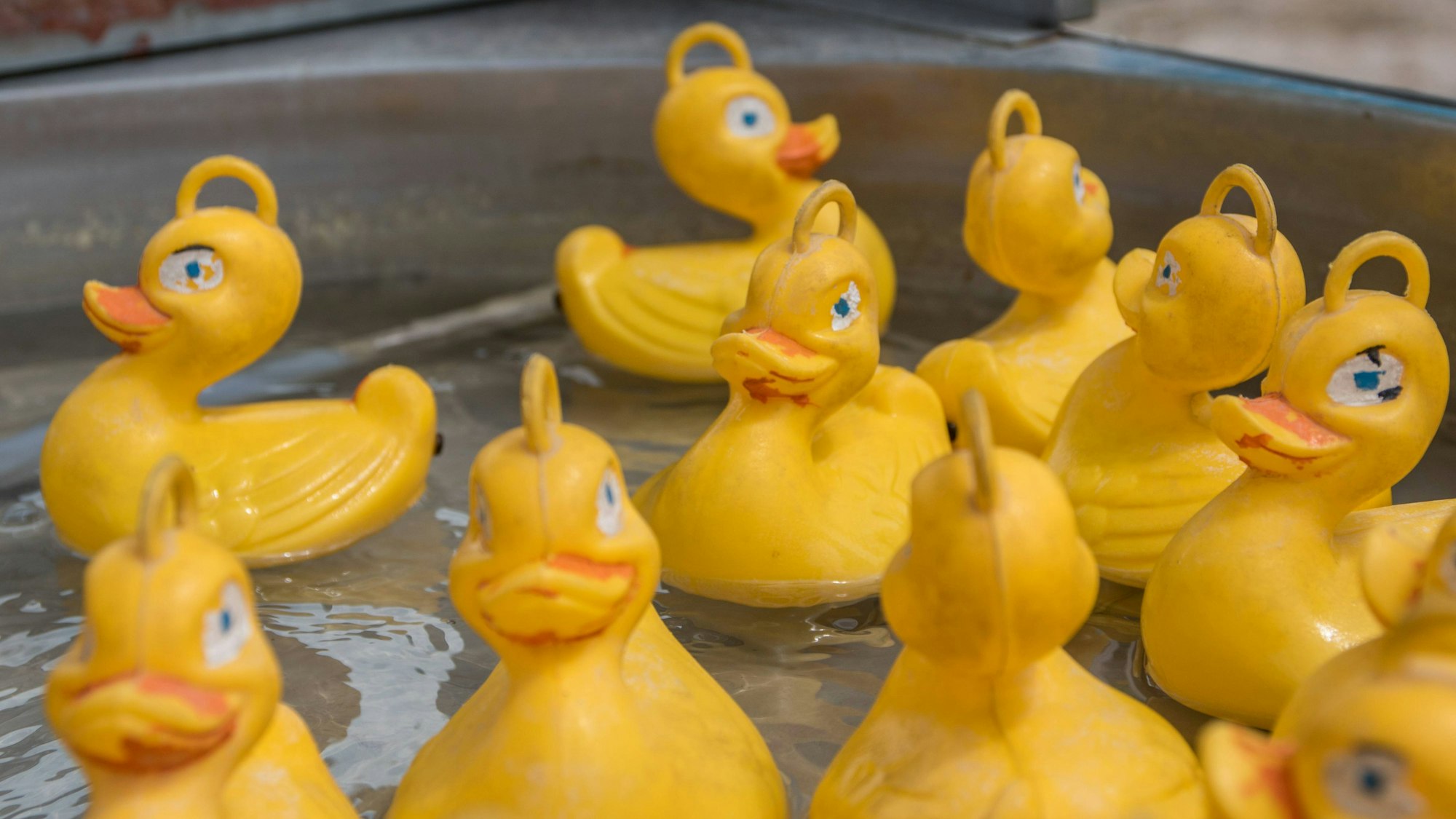 Mehrere Plastikenten