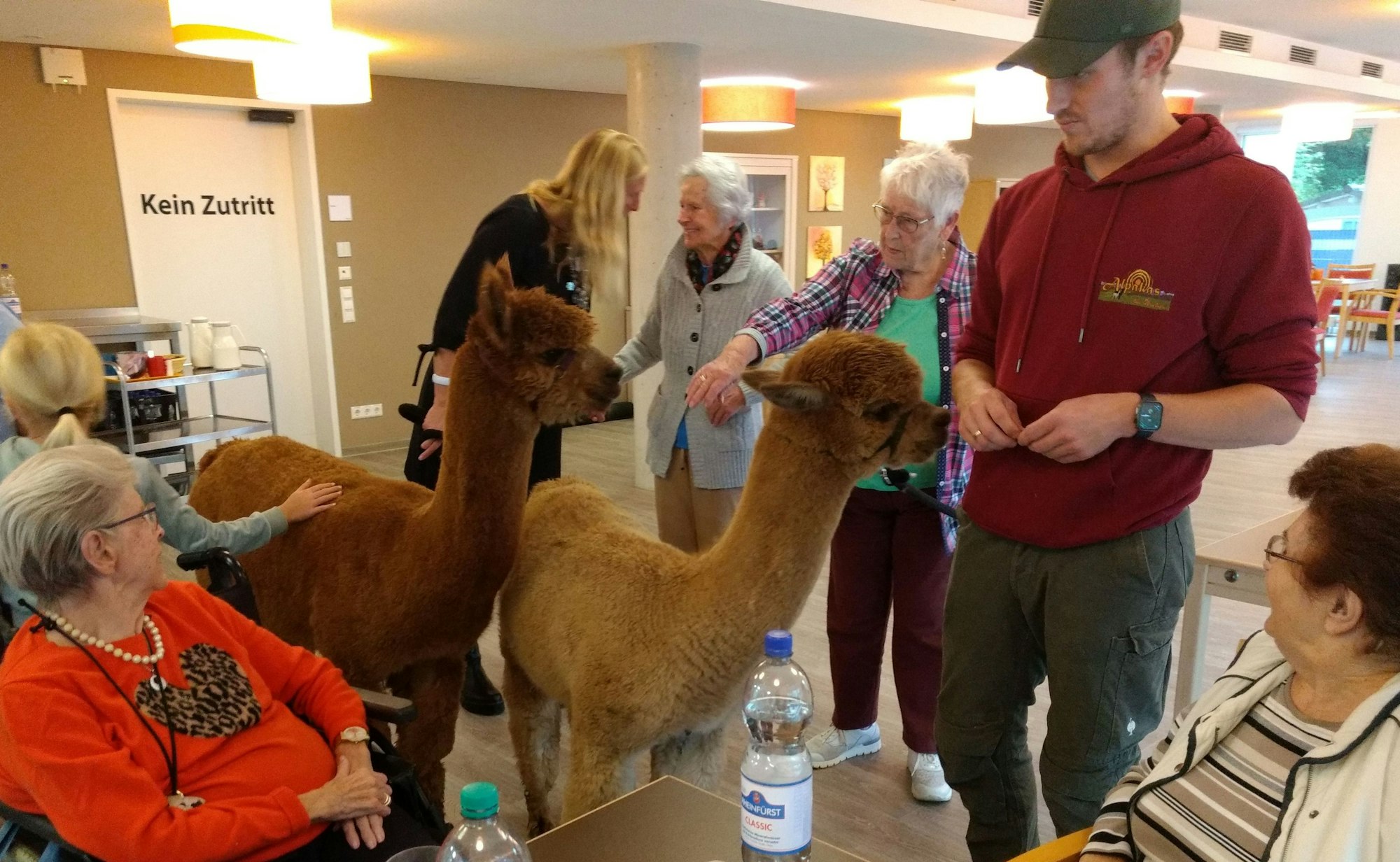 Im Hertha-von-Diergard-Haus statteten die Alpakas auch der Cafeteria einen Besuch ab.