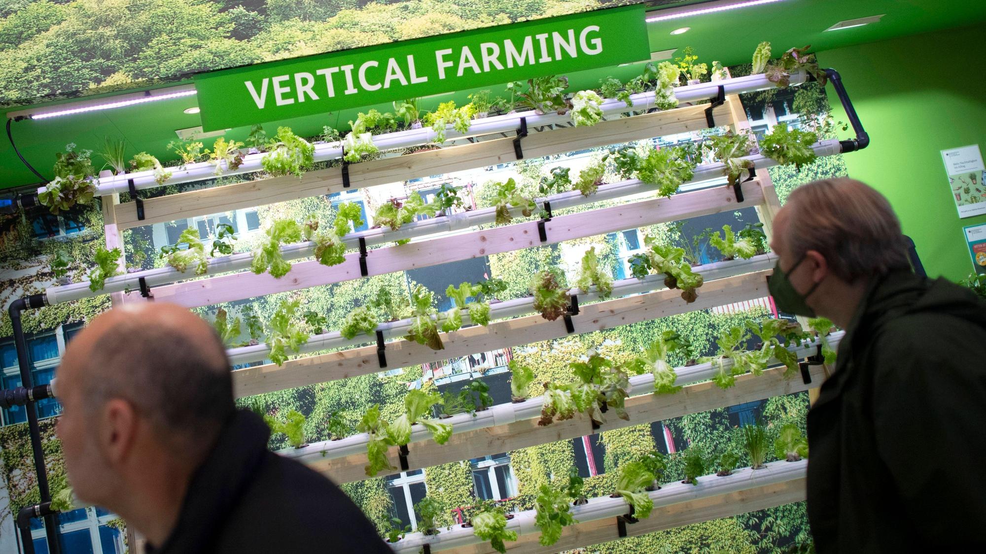 Beim „Veritcal Farming“ werden Pflanzen in mehrstöckigen Regal in geschlossenen Räumen gezüchtet. Hier beobachten Messe-Besucher ein System bei der „Grünen Woche“ in Berlin.