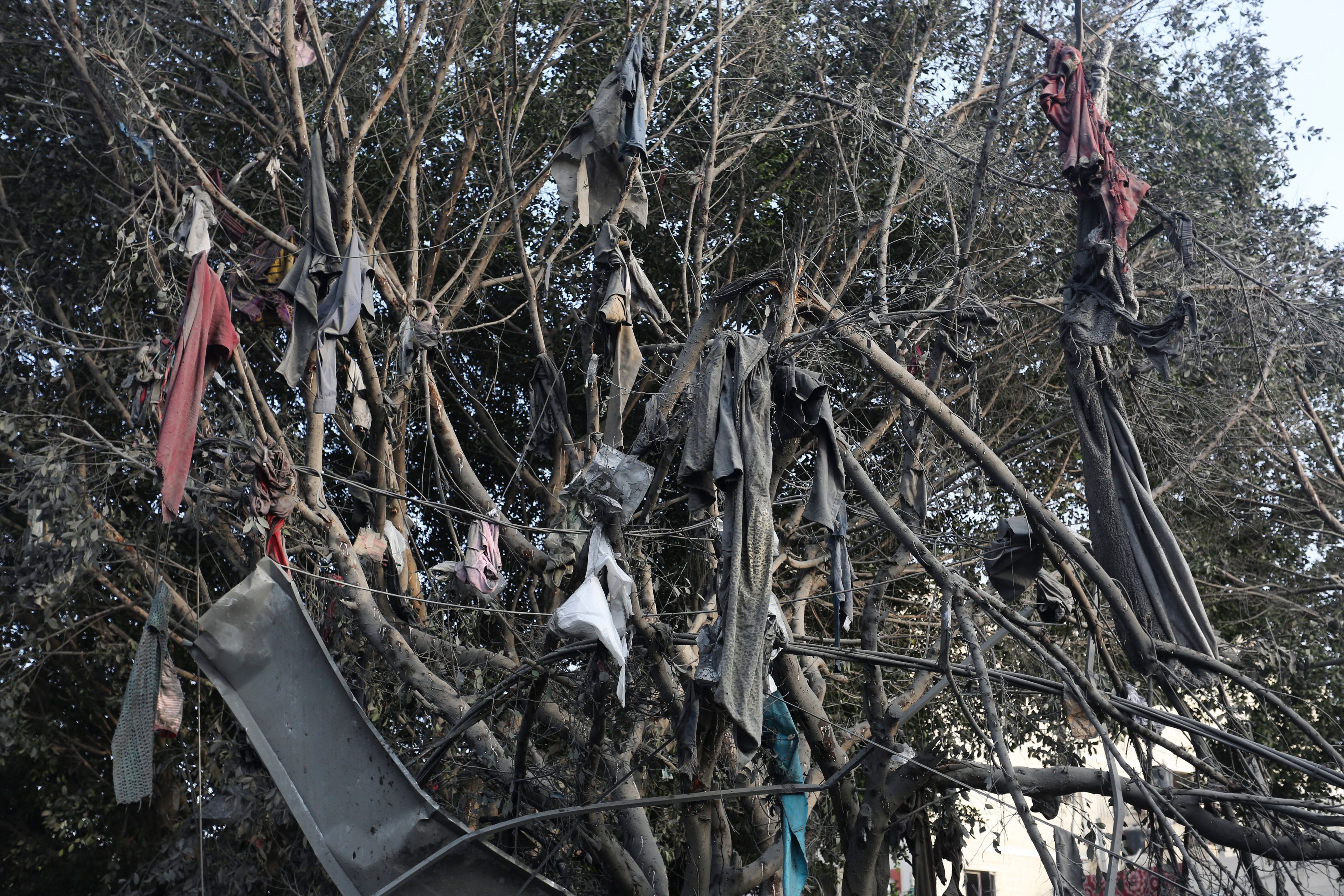 Dreckige Kleidungsstücke hängen von einem Baum, rote T-Shirts stechen hierbei hervor.