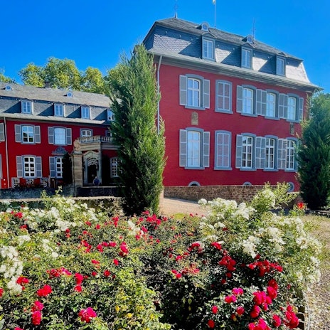 Das Bild zeigt das Schloss Gymnich in Erftstadt.