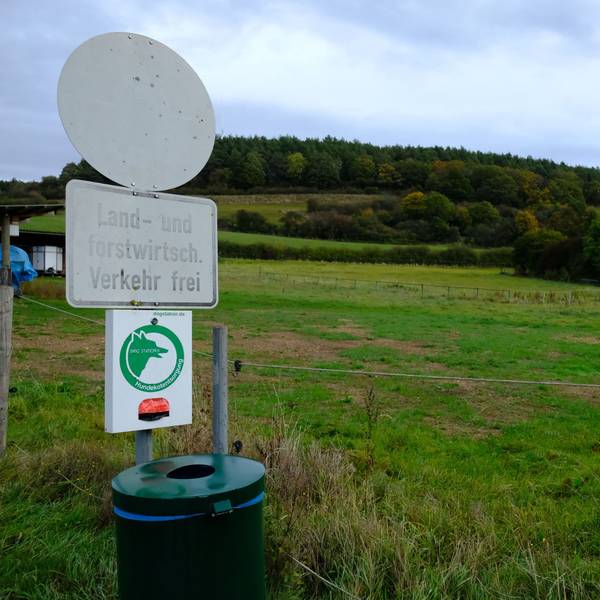 Eine Wiese in Hanglage am Ortsrand von Kallmuth. Links sind ein verblichenes Verkehrsschild, ein Spender für Hundekottüten und ein Mülleimer zu sehen.