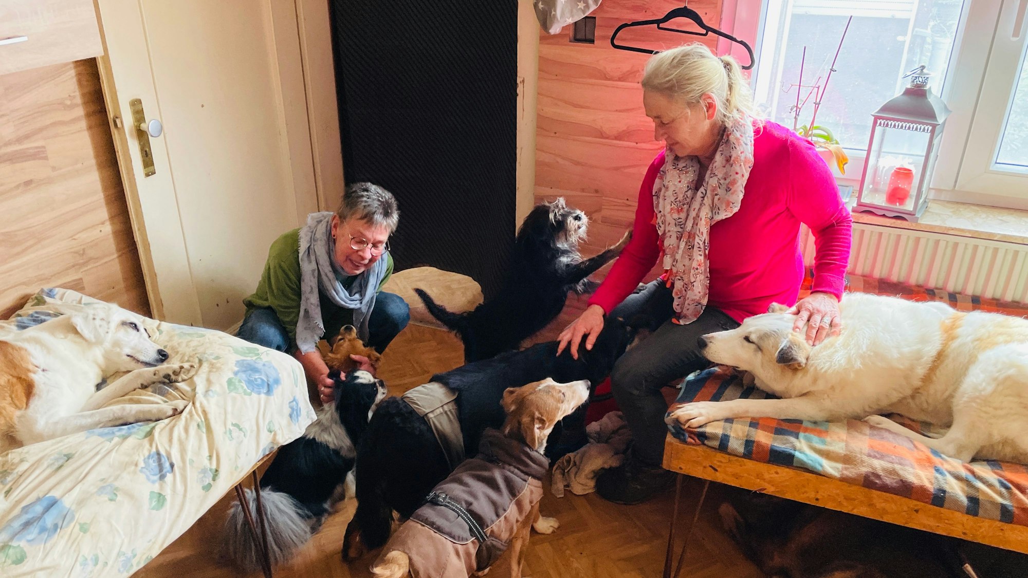 Der Tierschutzverein Köln-Porz e.V. - Menschen für Tiere und Tiere für Menschen hat den 2. Platz beim Tierschutzpreis des Landes Nordrhein-Westfalen 2023 gewonnen. Unter anderem betreibt der Verein ein Hospiz für Hunde