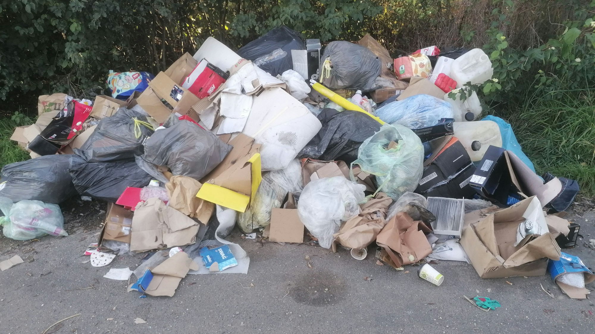 Ein Haufen Müllsacke und Kartons am Waldrand.