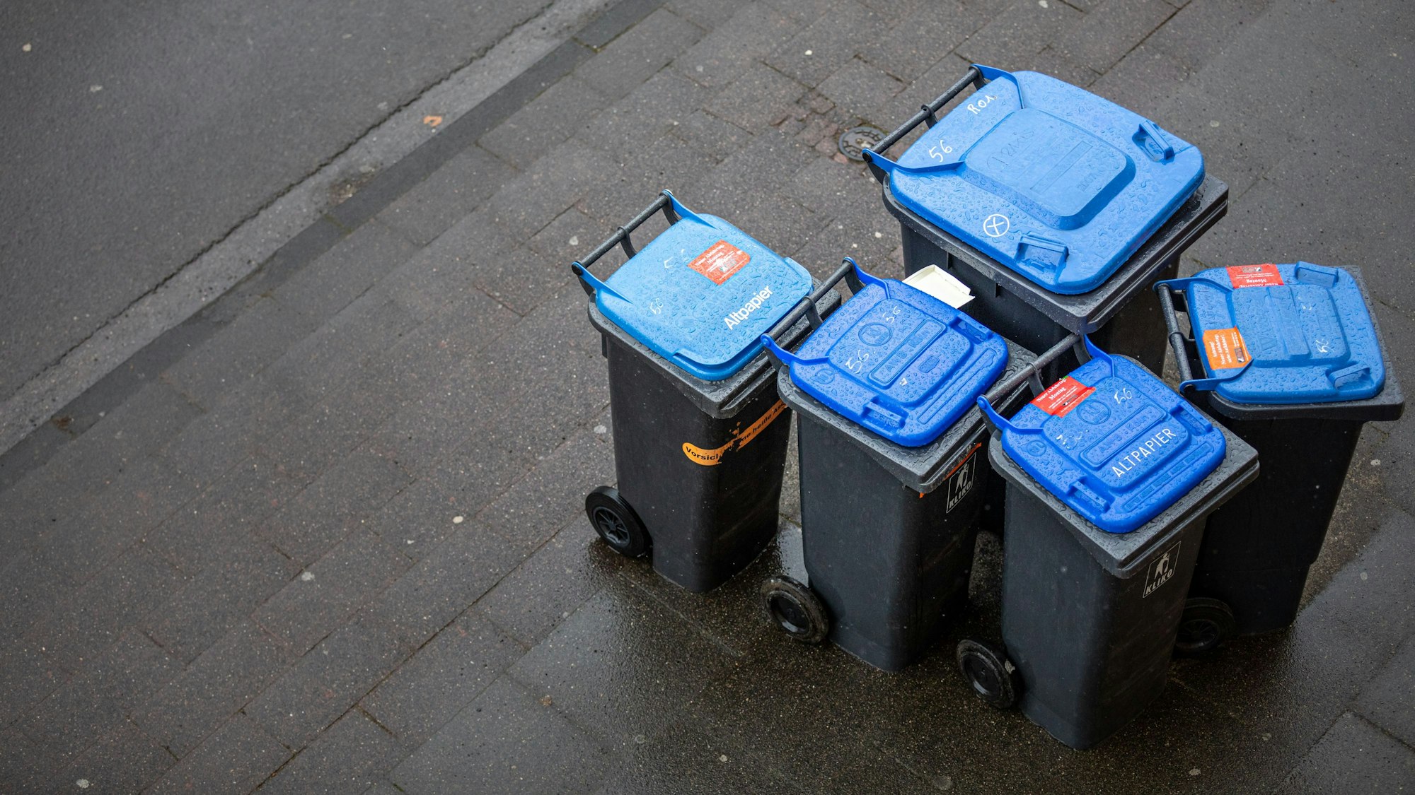 Abfalltonnen mit blauem Deckel, umgangssprachlich auch „Blaue Tonne“ genannt, für Altpapier stehen zur Abholung der AWB (Kölner Abfallwirtschaftsbetriebe) am Straßenrand.