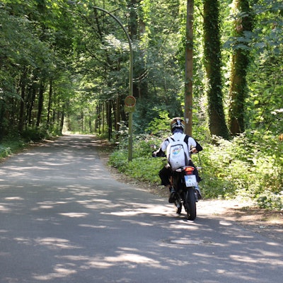Ein Mofafahrer fährt auf einer Straße im Wald.