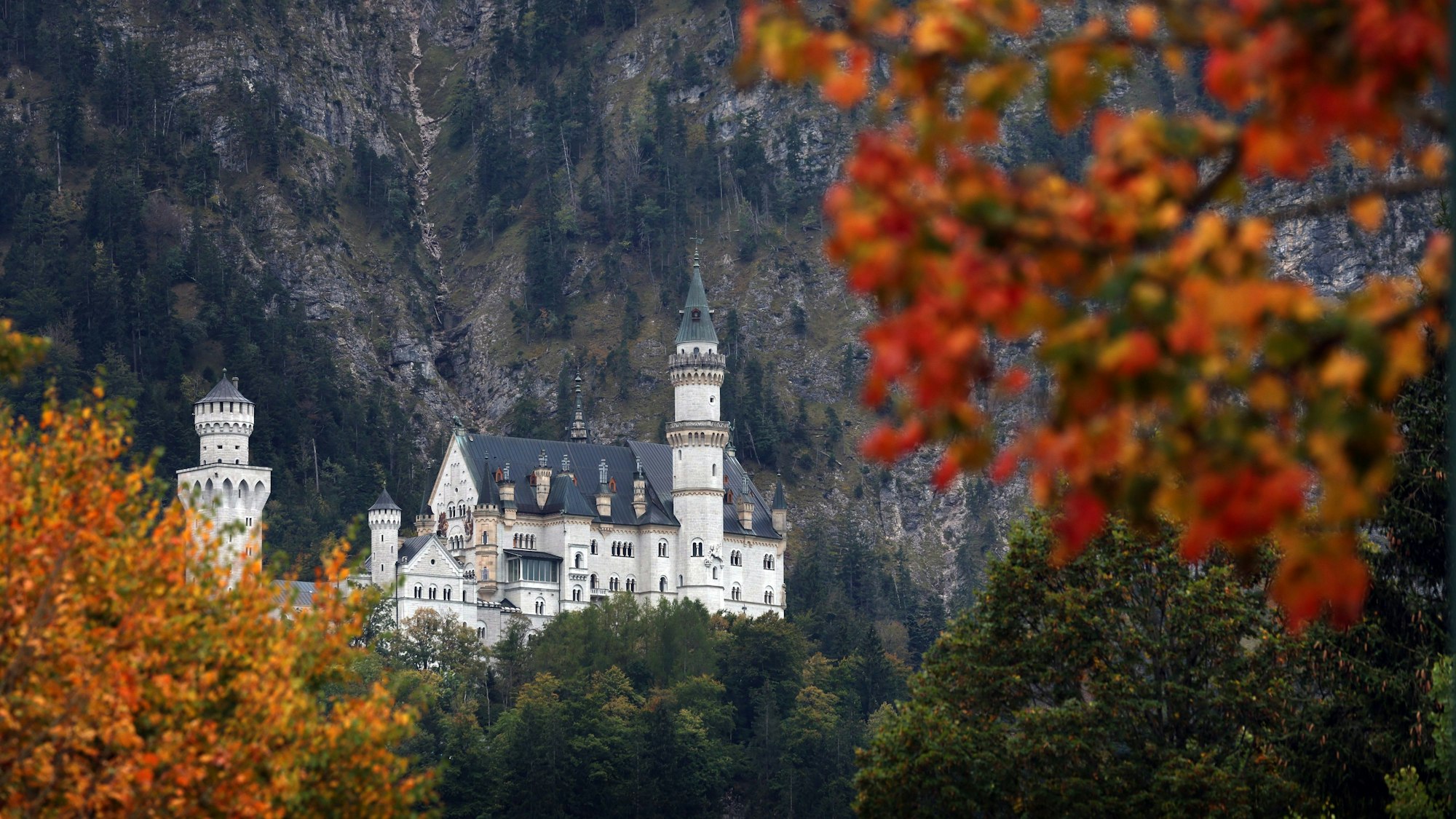 Blick auf das Schloss Neuschwanstein im bayerischen Schwangau