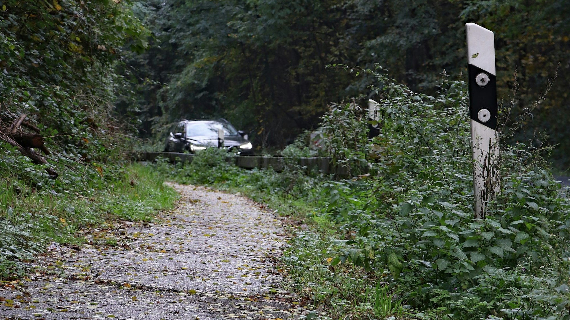 Das Foto zeigt den Radweg an der Berrenrather Straße in Frechen.