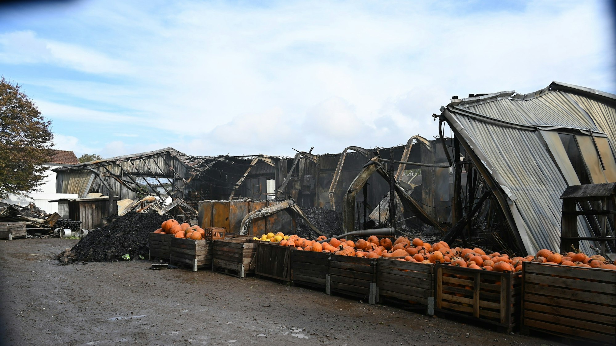 Das Bild zeigt die abgebrannte Lagerhalle auf Gut Clarenhof.