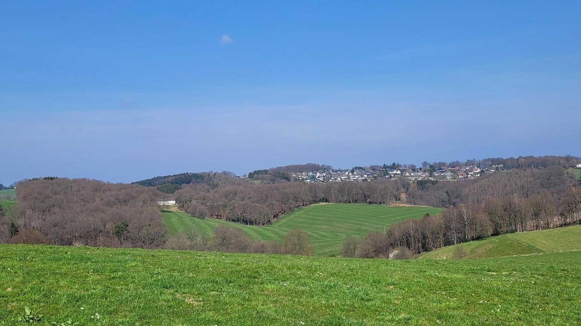 Das Foto zeigt eine Wiese bei Höchsten in Kürten
