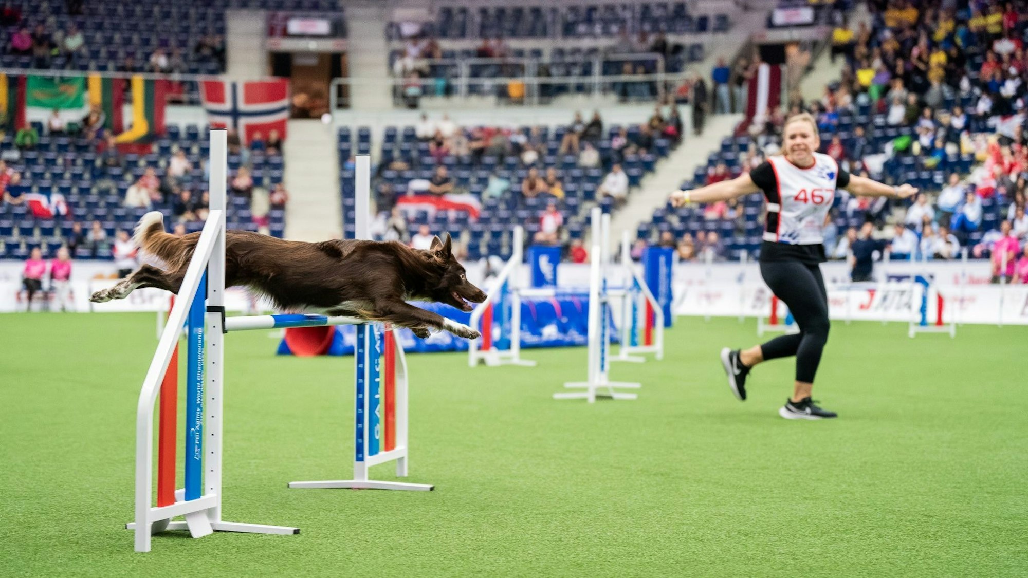 Mona Grefenstein bei der Agility-WM in Liberec. Ihre Hündin Sea springt über ein Hindernis.