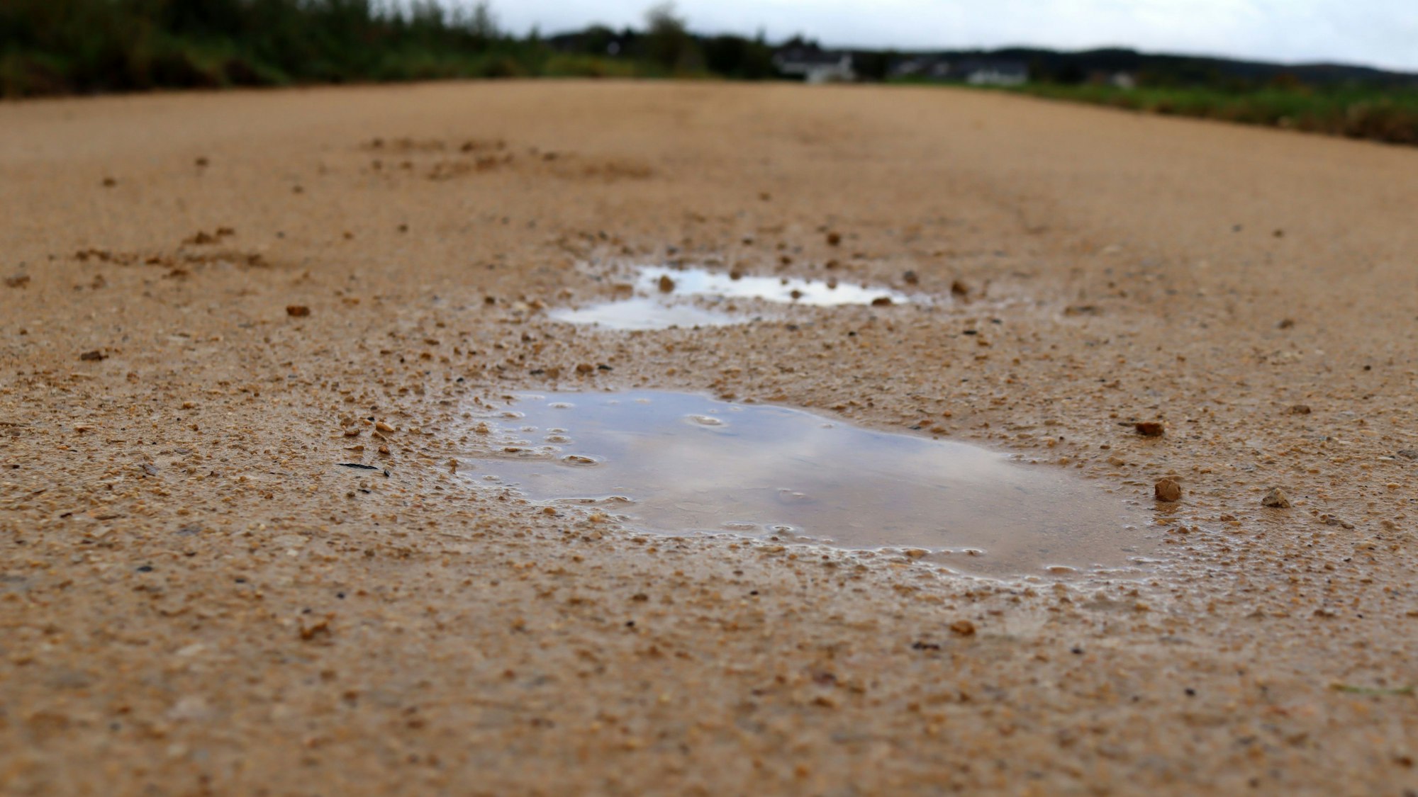 Auf einem Radweg mit wassergebundener Decke haben sich Pfützen gebildet.