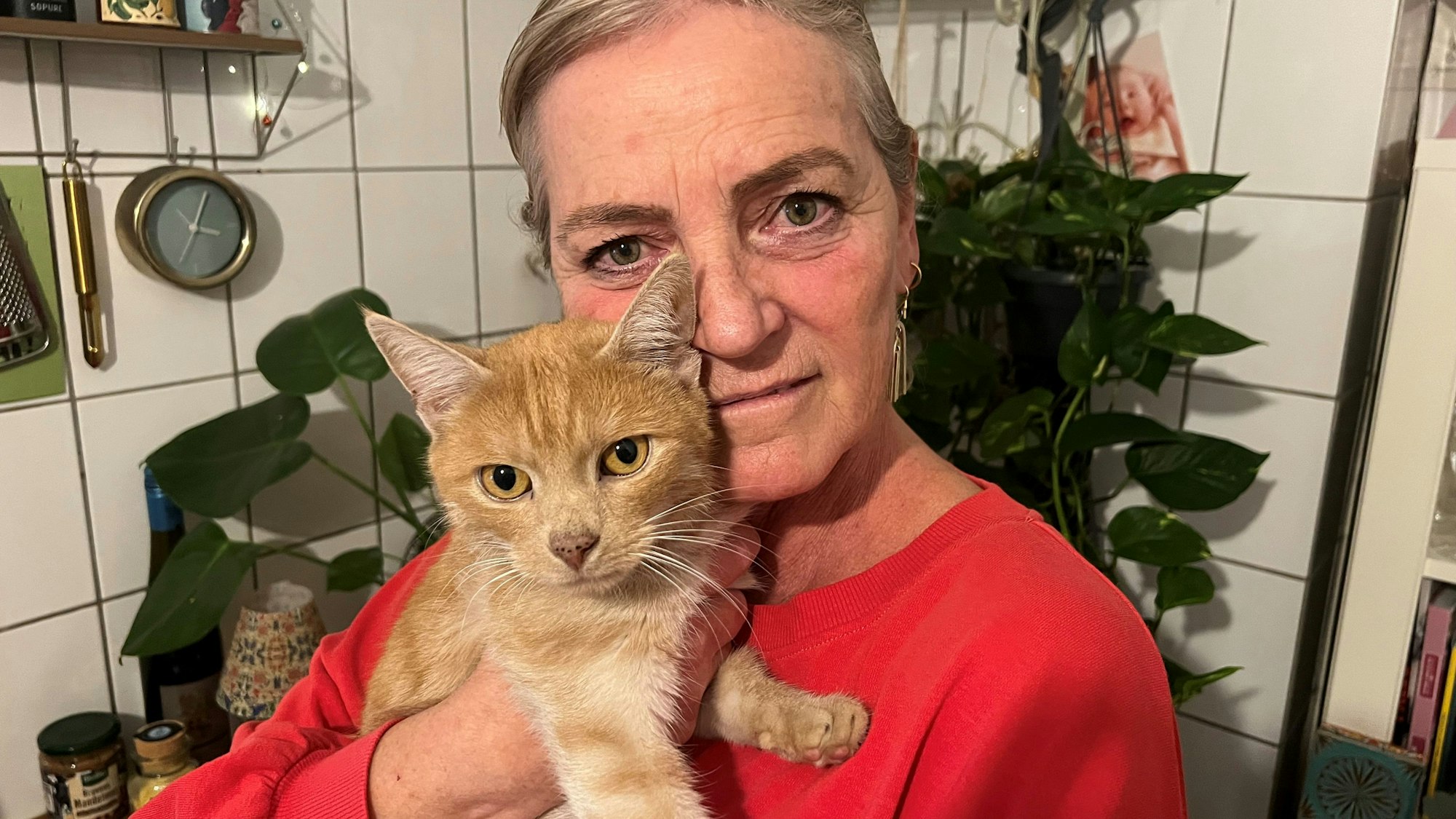 Eine Frau hält einen Kater im Arm.
