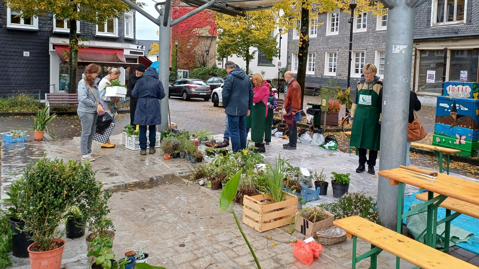 Trotz des Regenwetters ist die Pflanzentauschbörse in Burscheid gut besucht.