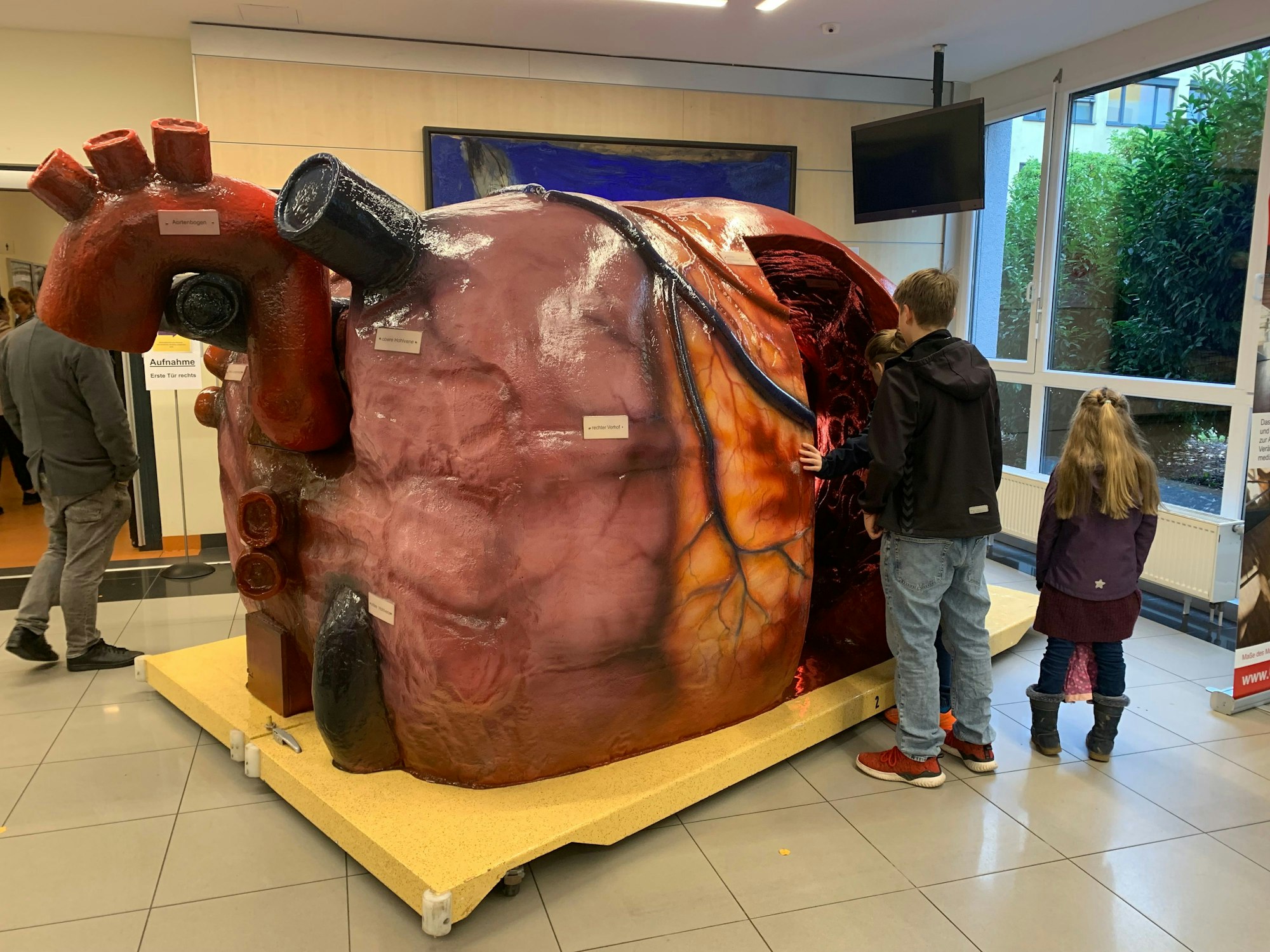 Das von Innen beleuchtete Modell eines menschlichen Herzens konnte sogar begangen werden.