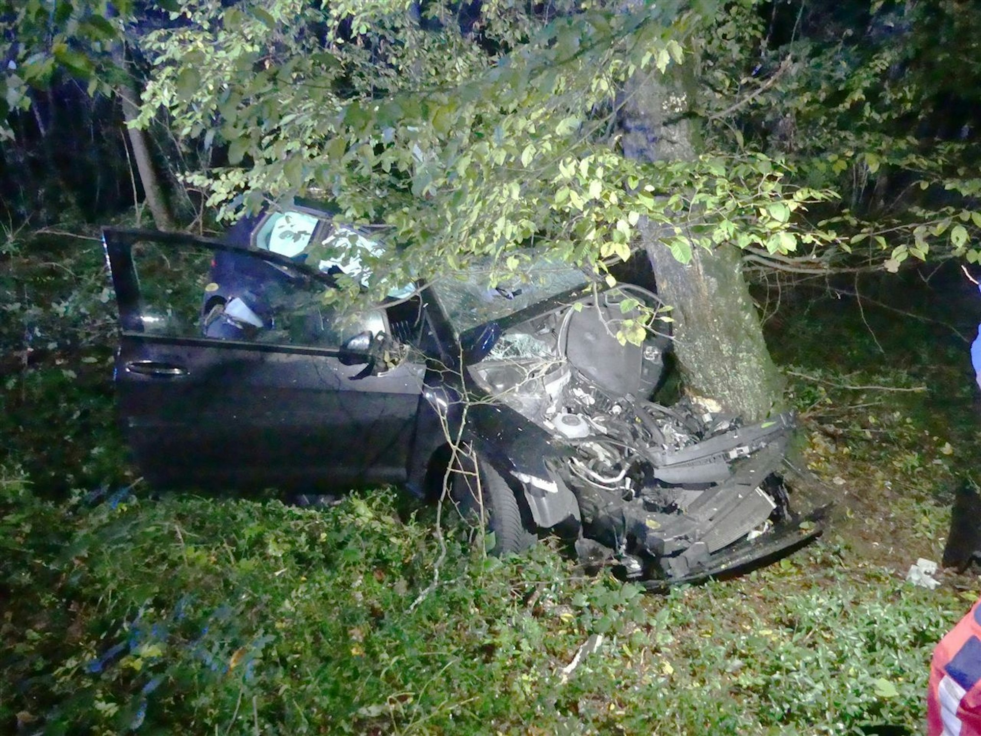 Der Wagen landete an einem Baum. Beide Insassen zogen sich schwere Verletzungen zu.