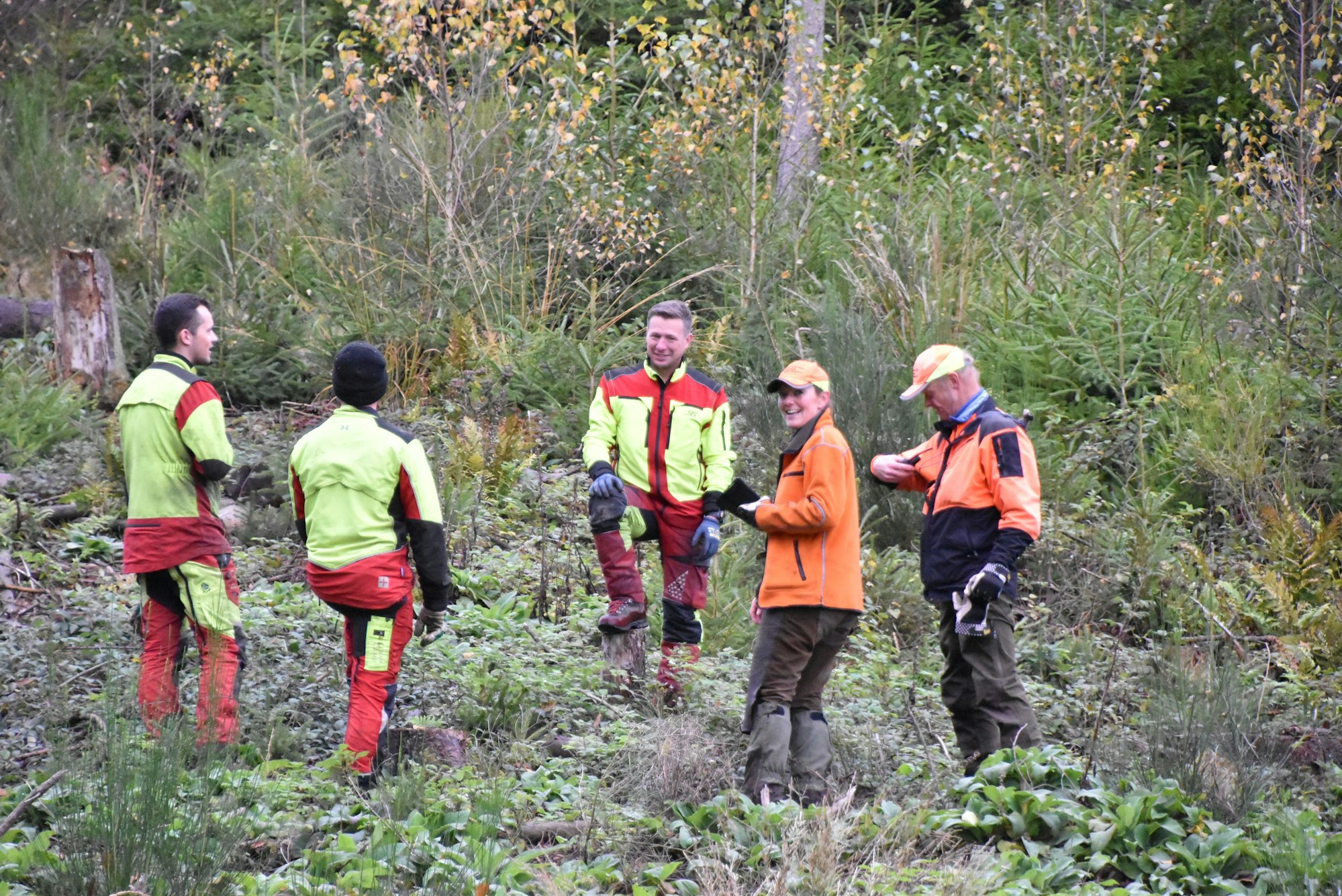 Fünf Treiber in Warnkleidung stehen für eine kurze Pause in einem Waldstück zusammen.