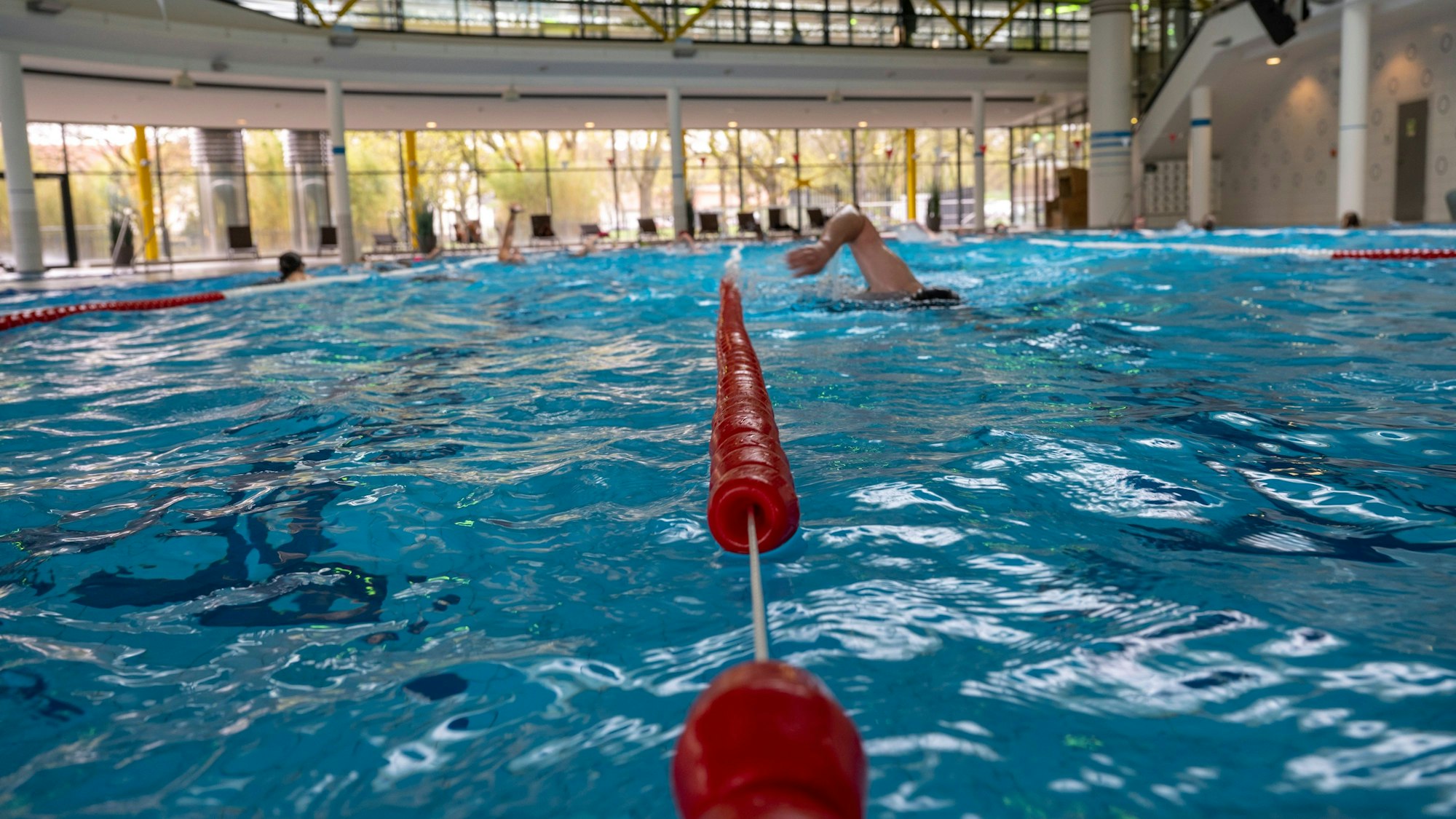 Blick ins Schwimmerbecken im Hallenbad im Lentpark in Köln