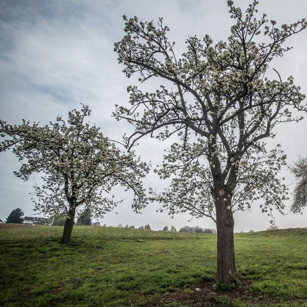 Bei Atzlenbach. Foto: Ralf Krieger