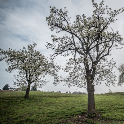 Bei Atzlenbach. Foto: Ralf Krieger