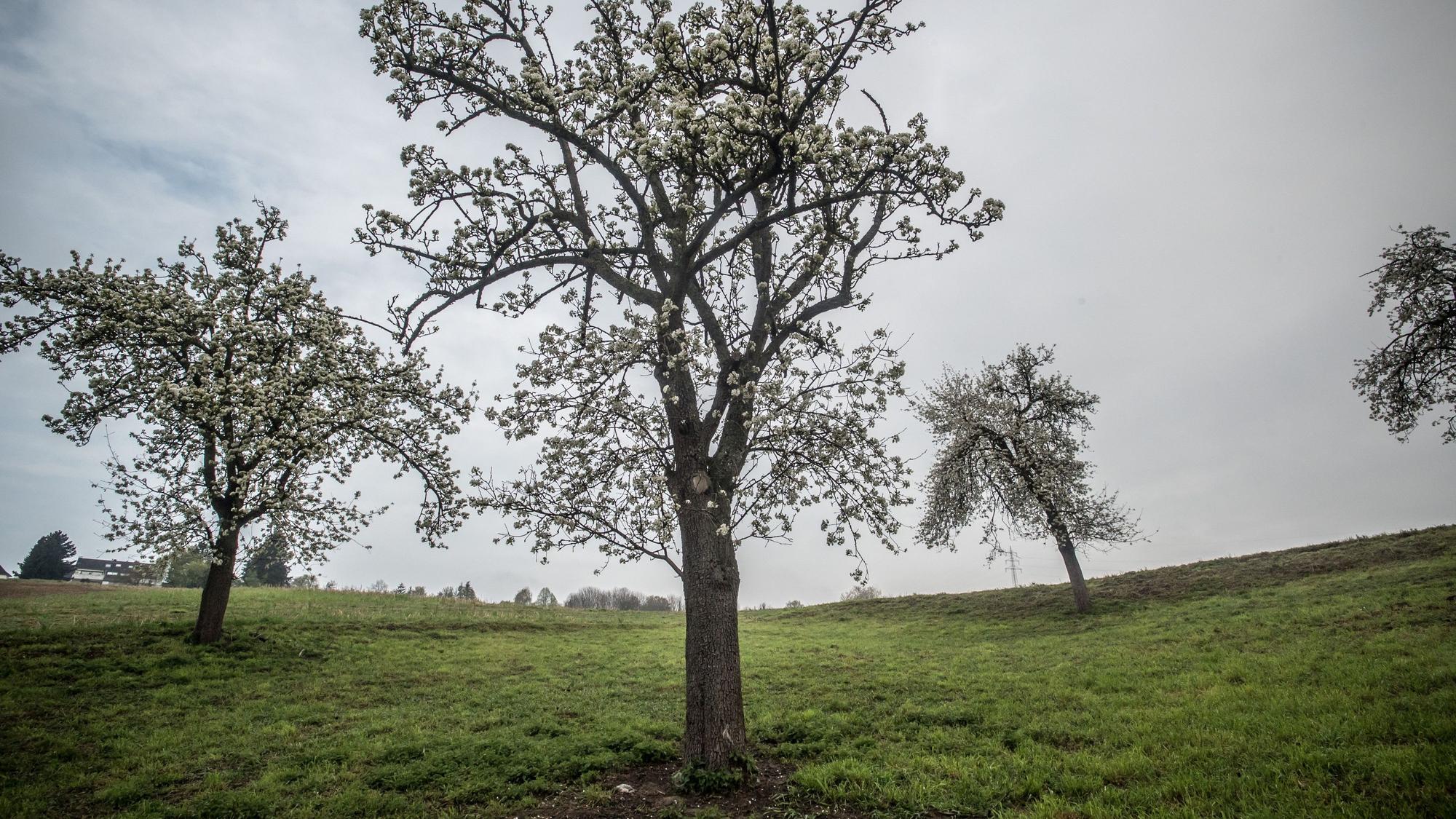 Bei Atzlenbach. Foto: Ralf Krieger