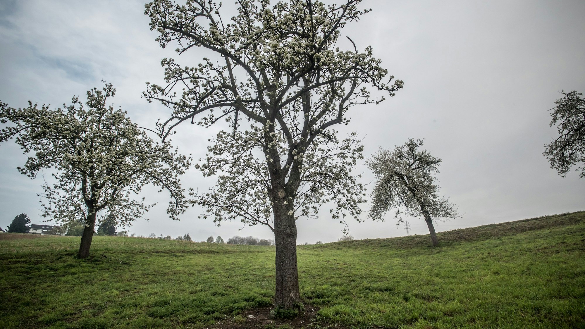 Bei Atzlenbach. Foto: Ralf Krieger