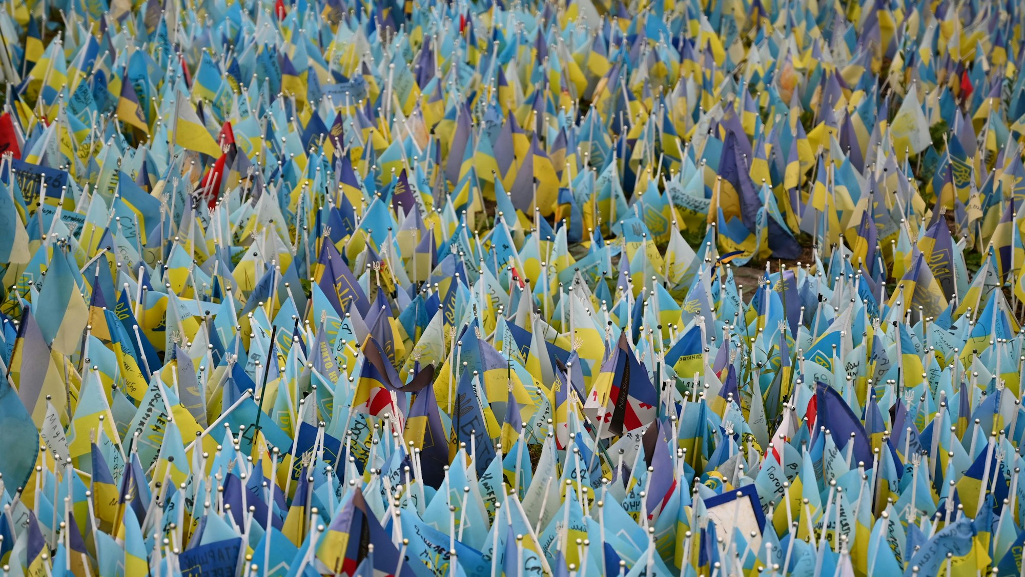 Zahlreiche kleinen Fähnchen in den Farben der Ukraine stehen auf einer Wiese.