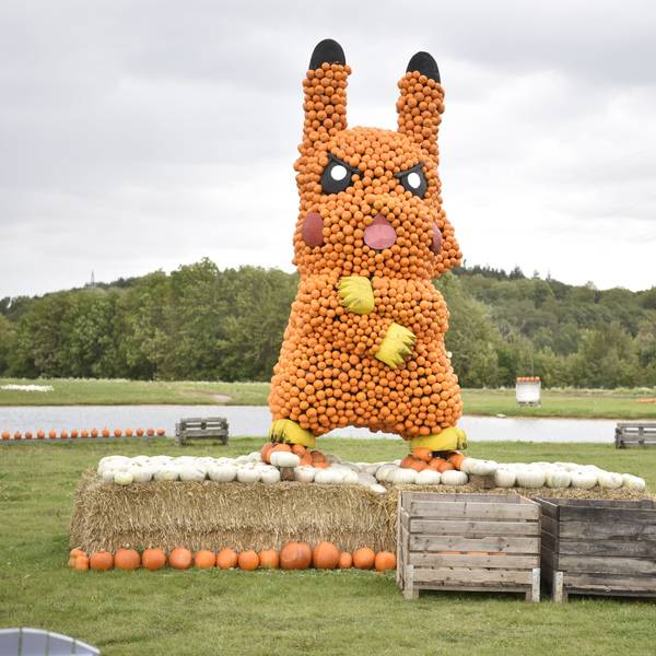 Bei der Kürbisschau in Obergartzem gibt es auch einen aus Kürbissen gebauten Pikachu zu sehen.