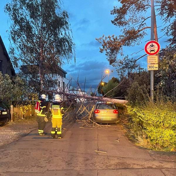 Sturmtief „Emir“ trifft NRW: In Euskirchen stürzte ein Baum auf ein Auto, Verletzte wurde offenbar niemand.