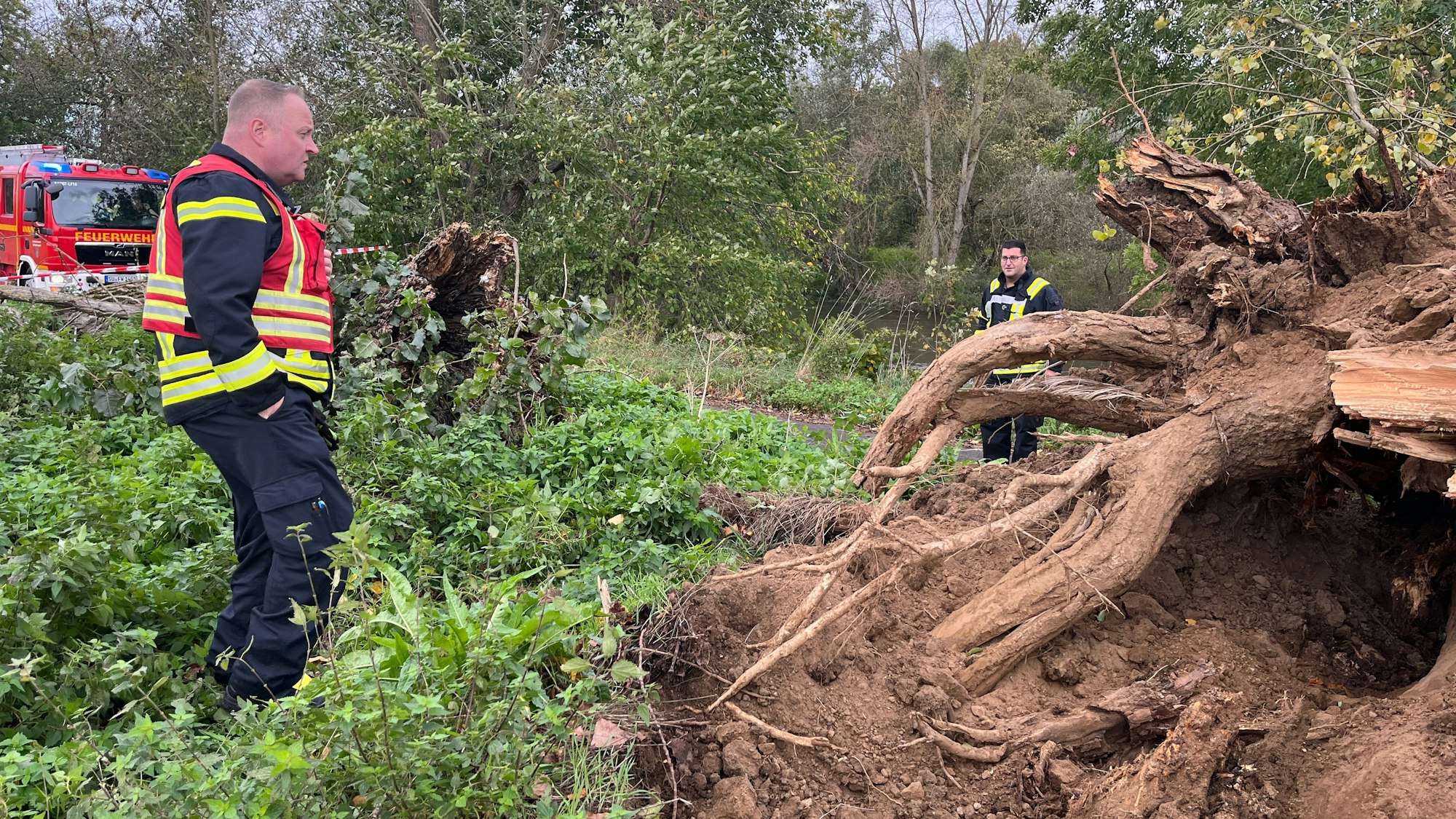 Sturm Ciaran oder Tief Emir hat am Donnerstagmorgen den Kreis erreicht, die Feuerwehren hatten knapp 140 Einsätze. In Sankt Augustin stürzte eine dicke Pappel um.