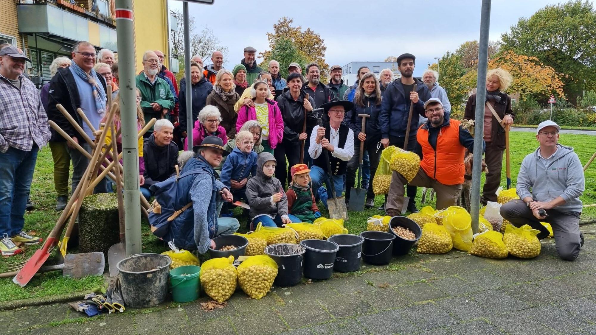 Rund 50 Naturschützer haben 33.000 Hyazinthen- und Krokus-Zwiebeln gesetzt.
