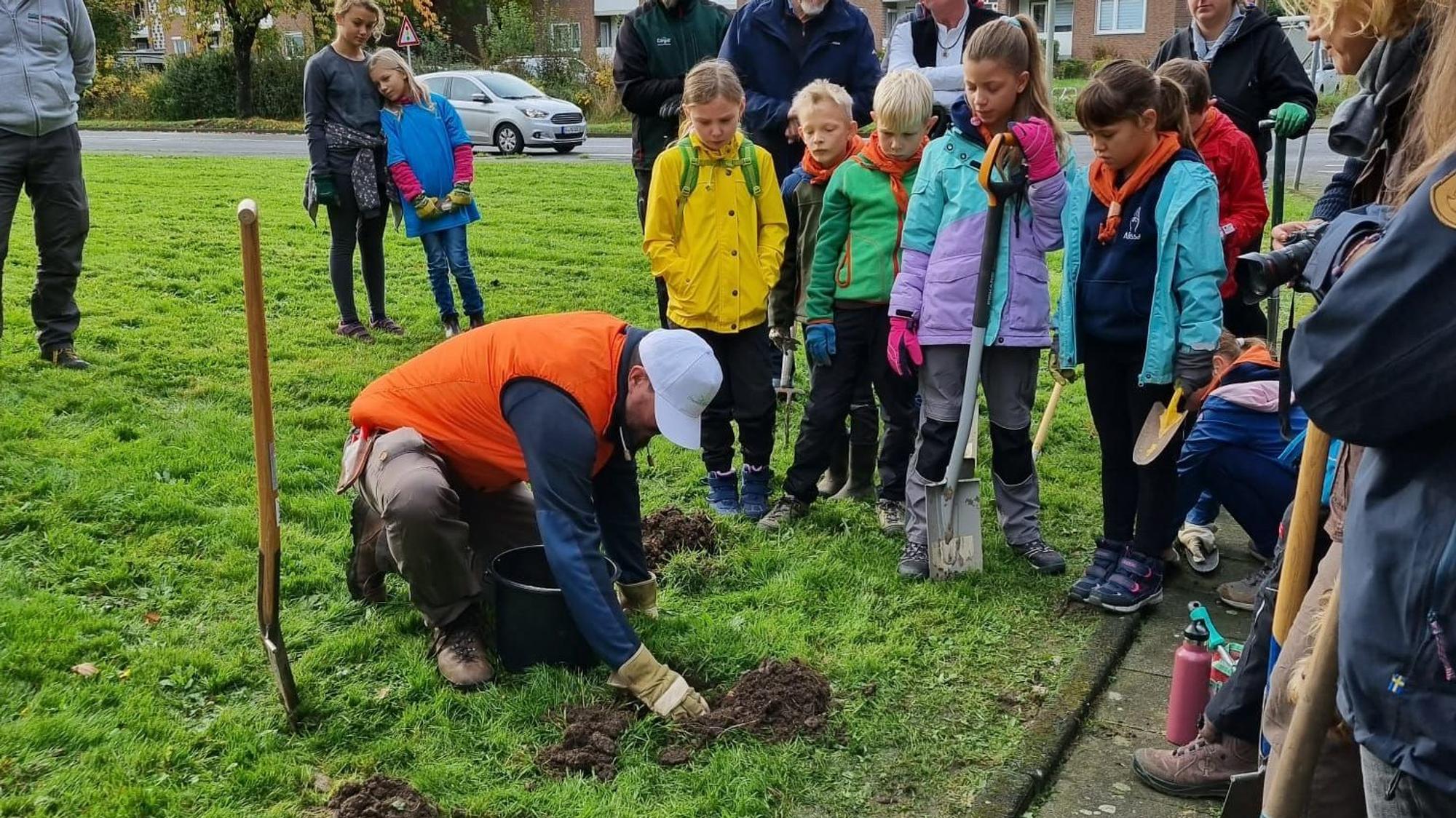 Rund 50 Naturschützer haben 33.000 Hyazinthen- und Krokus-Zwiebeln gesetzt.