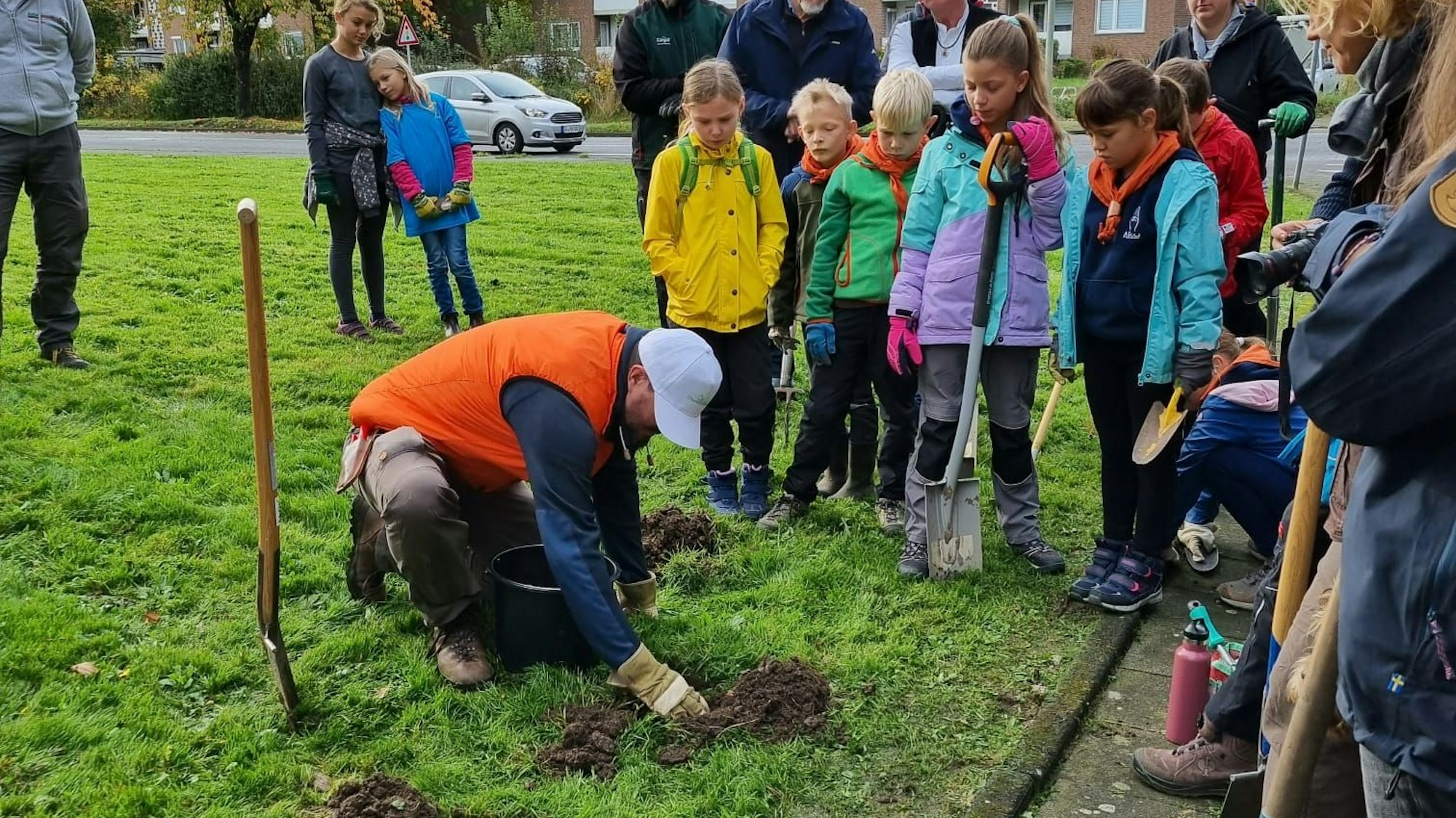Rund 50 Naturschützer haben 33.000 Hyazinthen- und Krokus-Zwiebeln gesetzt.