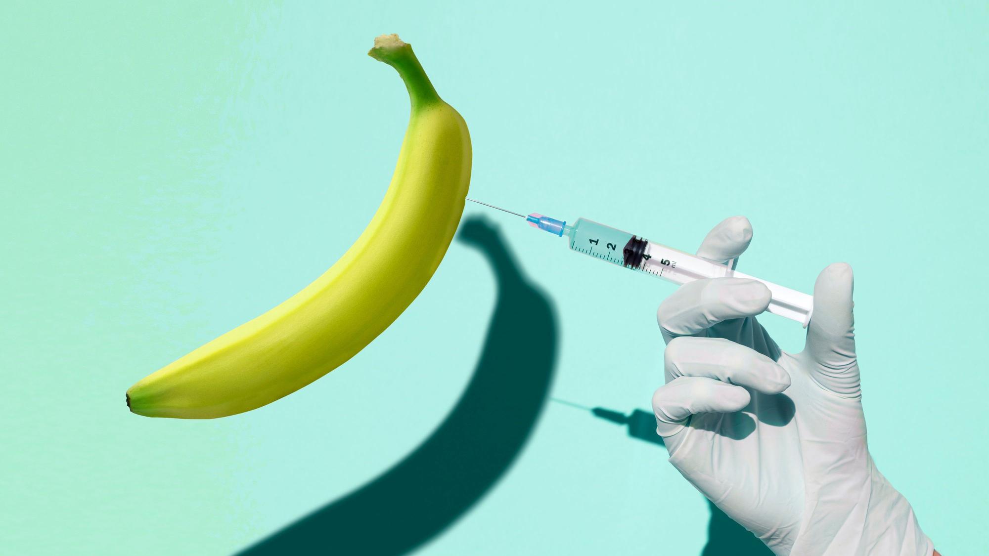 Eine Hand setzt eine Spritze in eine Banane. Symbolbild zu Erektionsstörungen.
Getty Images / Francesco Carta fotografo