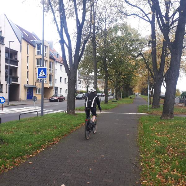 Blick auf die Promenade des Niehler Damms, daneben die Fahrbahn. Durch die Einrichtung einer Fahrradstraße hätten Fußgänger den Rheinuferweg für sich alleine.