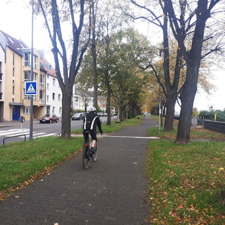Ein Fahrradfahrer fährt auf dem Rheinufer