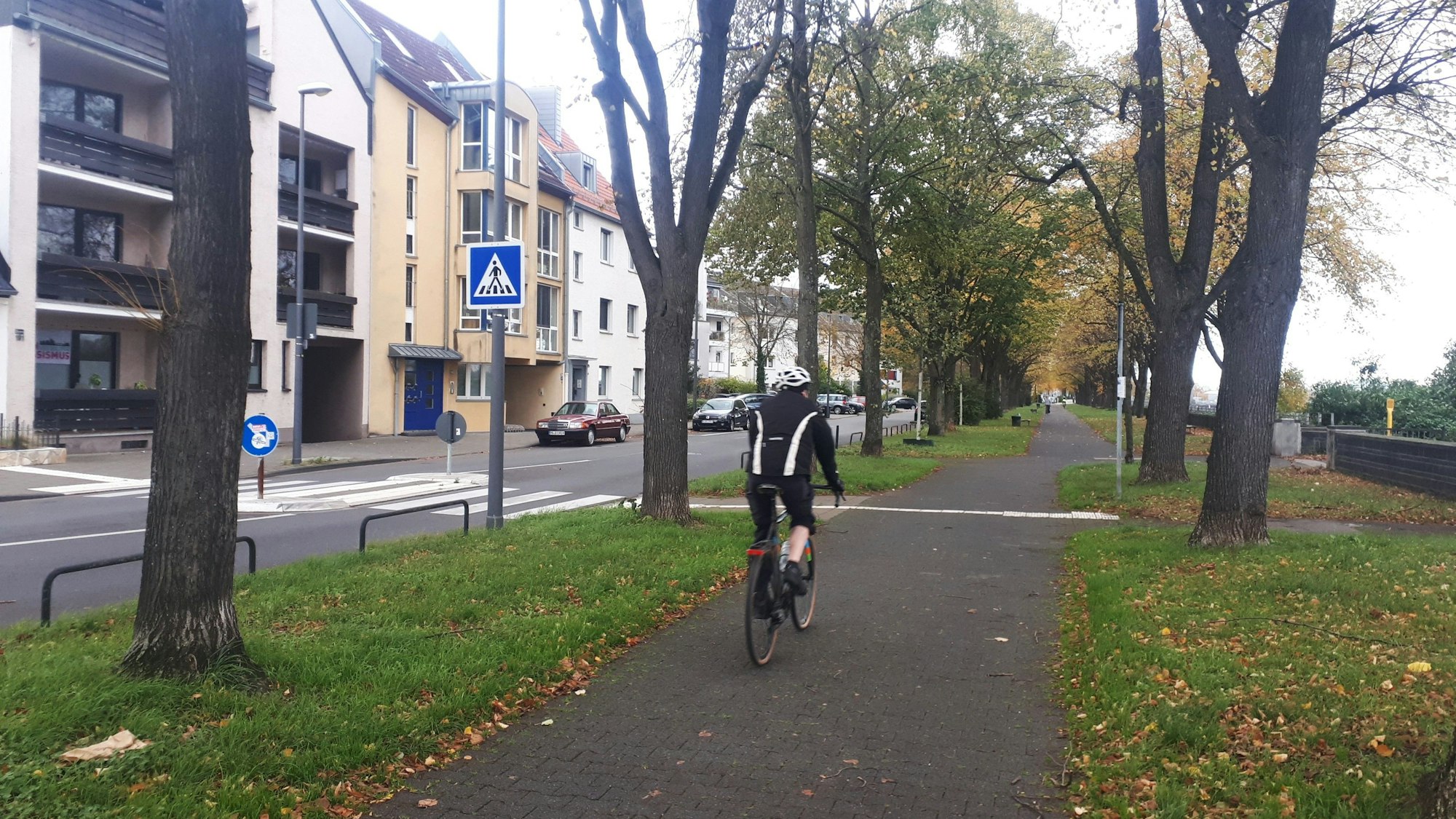 Blick auf die Promenade des Niehler Damms, daneben die Fahrbahn. Durch die Einrichtung einer Fahrradstraße hätten Fußgänger den Rheinuferweg für sich alleine.