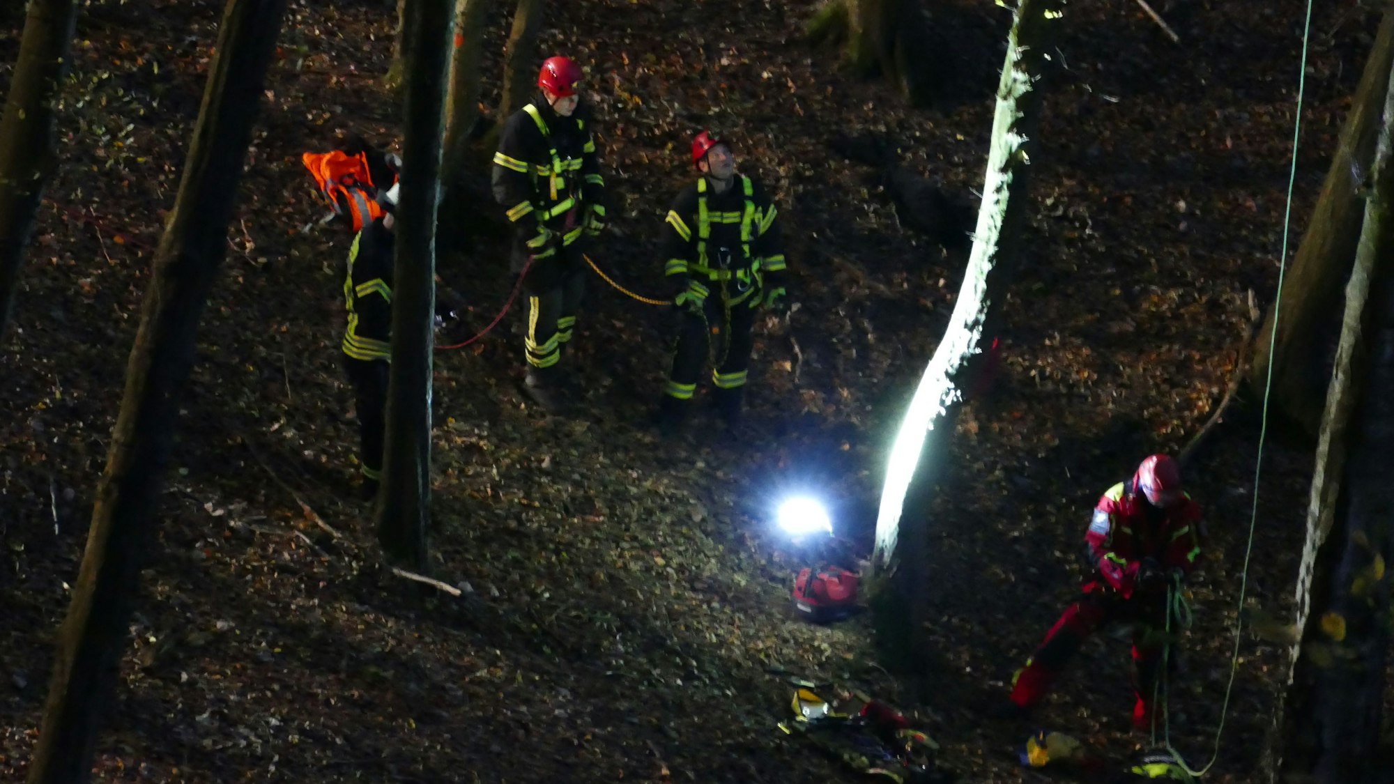Einsatzkräfte stehen im Wald.